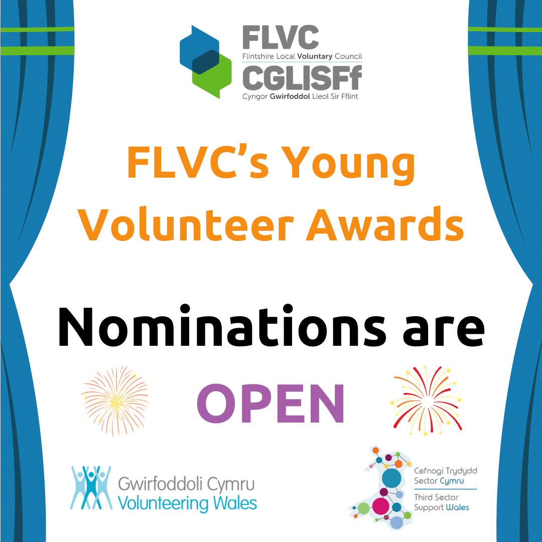 FLVC’s Young Volunteer Awards 2024